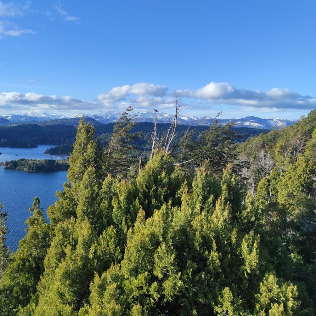 Lugares gratis en Bariloche - Punto panorámico Circuito chico