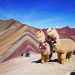 Traveling to Peru