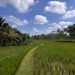 Cómo ir de Depansar a Ubud