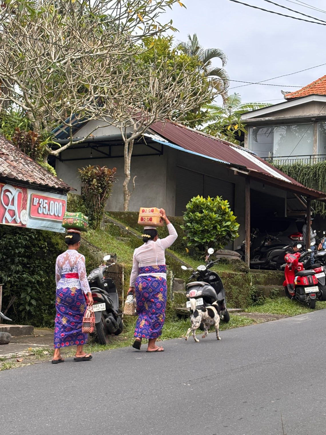 Cómo ir de Depansar a Ubud