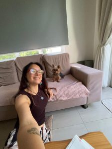 Cómo conseguir housesitting