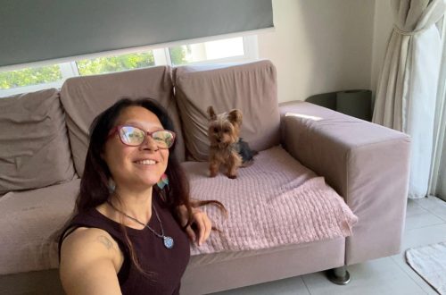 how to get your first house sit gig
