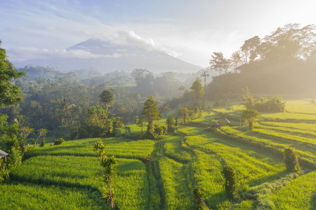 dónde alojarse en bali