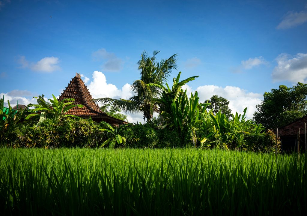 cómo buscar alojamiento en ubud