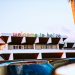 Itinerario de 7 días en Belice